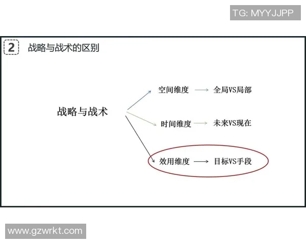 深圳网球队整体压制打法解析与战术优势探讨